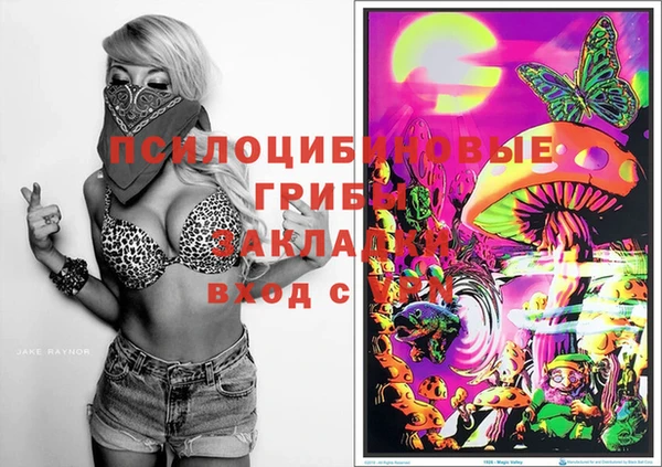 сатива Кодинск